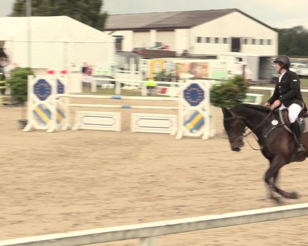 Reitturnier Melle-Ostenfelde 2016