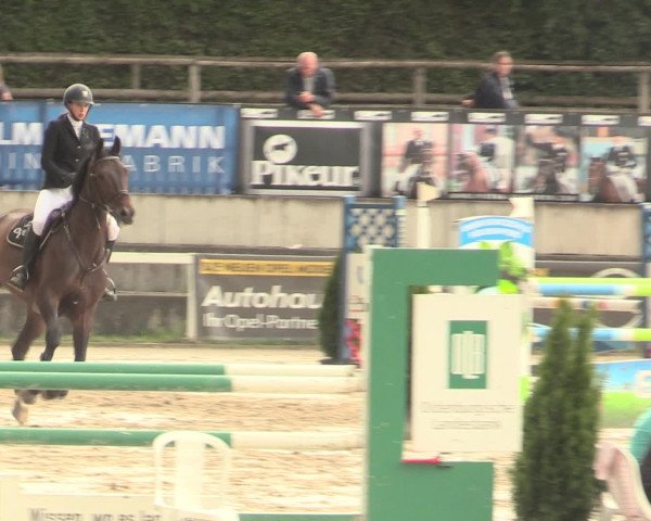 Reitturnier Melle-Ostenfelde 2016