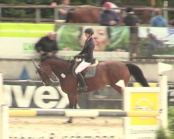 Reitturnier Melle-Ostenfelde 2016