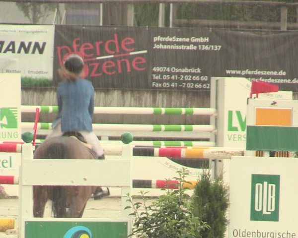 Reitturnier Melle-Ostenfelde 2016