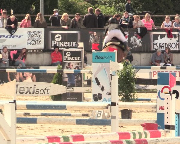 Reitturnier Melle-Ostenfelde 2016