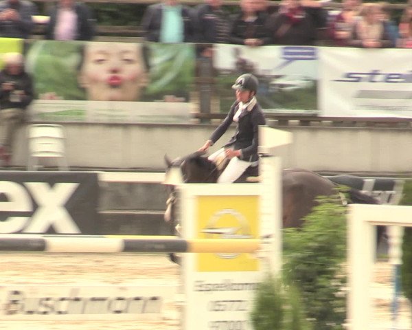 Reitturnier Melle-Ostenfelde 2016