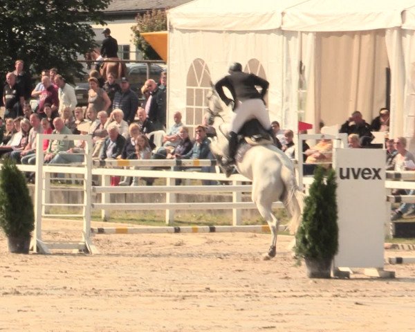 Reitturnier Melle-Ostenfelde 2016