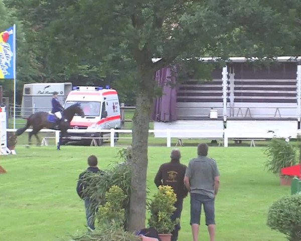 Reitturnier Marne 2016