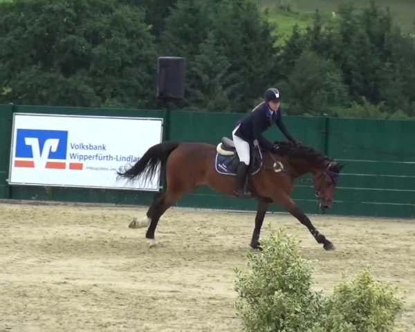 Reitturnier Lindlar-Süttenbach 2016