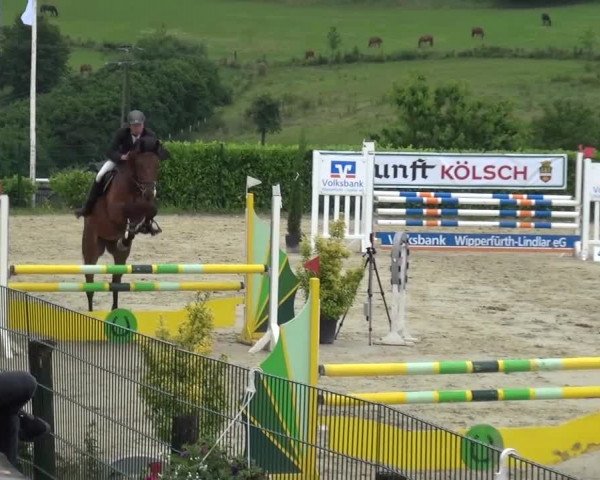 Reitturnier Lindlar-Süttenbach 2016
