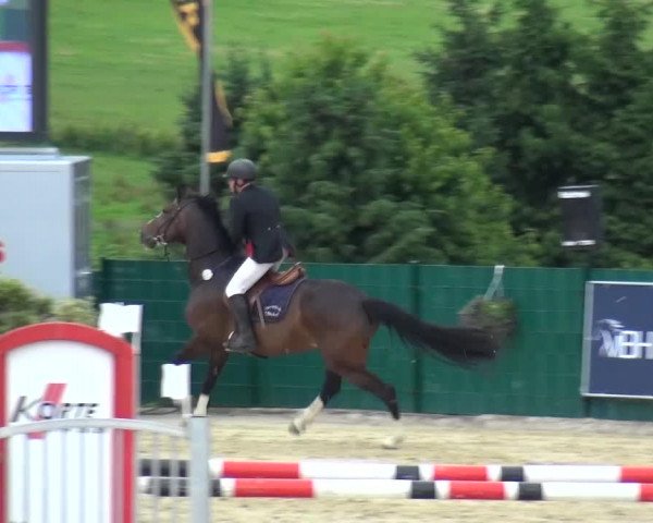 Reitturnier Lindlar-Süttenbach 2016