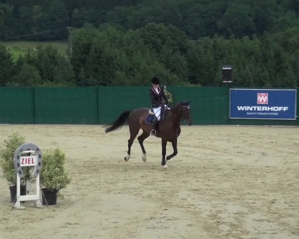 Reitturnier Lindlar-Süttenbach 2016