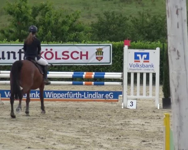 Reitturnier Lindlar-Süttenbach 2016