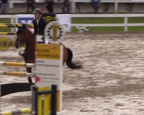 Reitturnier Letmathe 2016