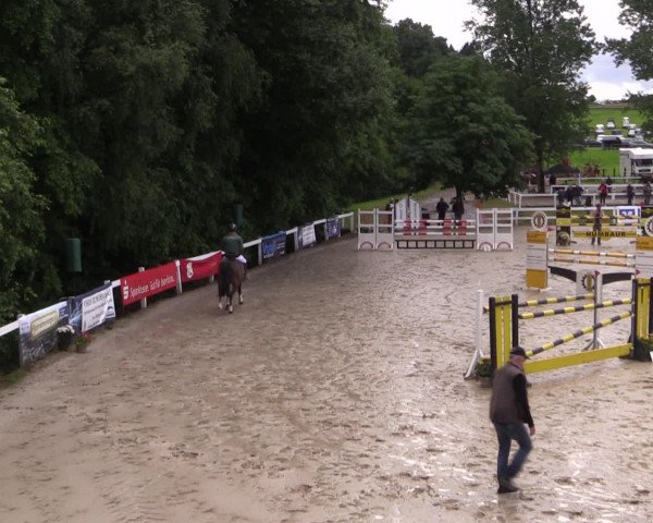 Reitturnier Letmathe 2016