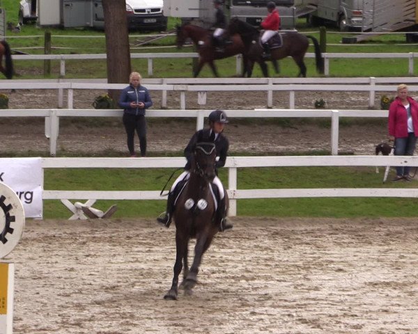 Reitturnier Letmathe 2016