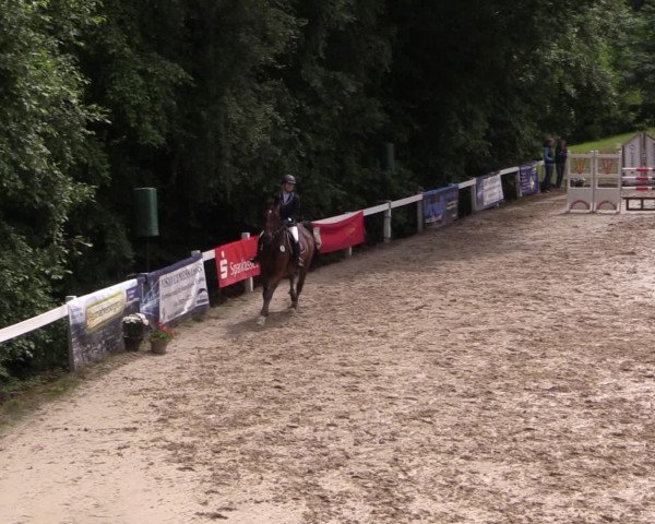 Reitturnier Letmathe 2016