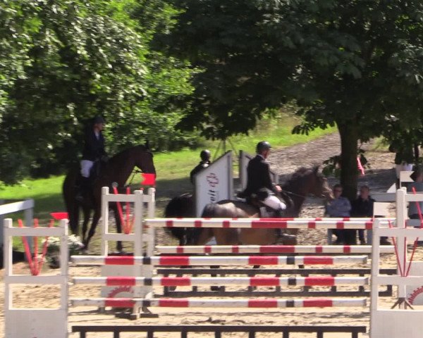 Reitturnier Letmathe 2016