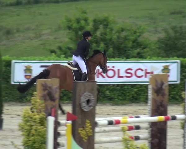 Reitturnier Lindlar-Süttenbach 2016