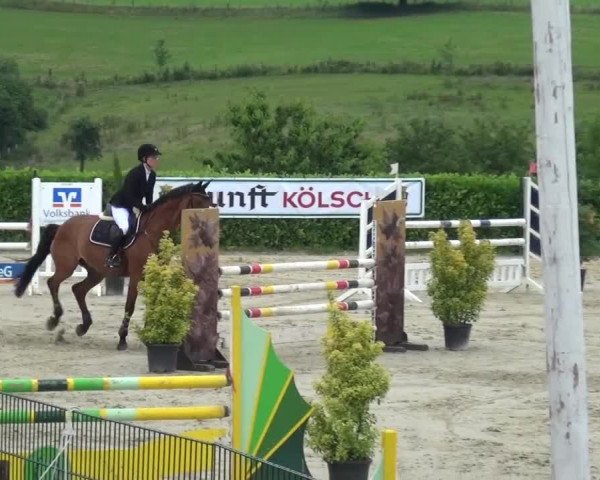 Reitturnier Lindlar-Süttenbach 2016