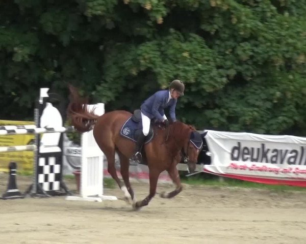 Reitturnier Kalenborn Hegehof 2016