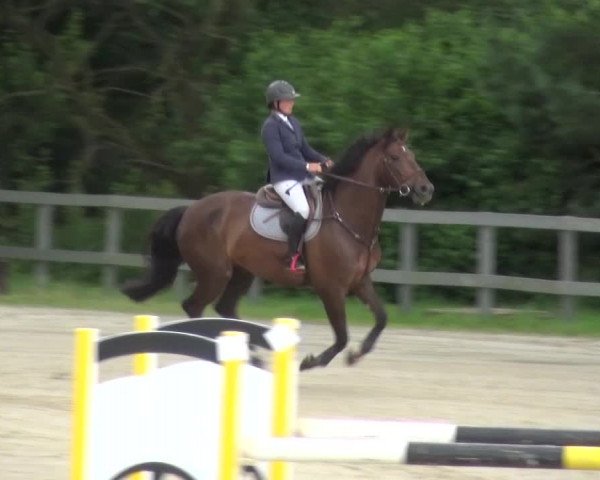Reitturnier Kalenborn Hegehof 2016