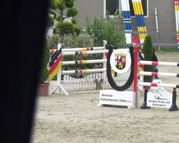 Reitturnier Kalenborn Hegehof 2016