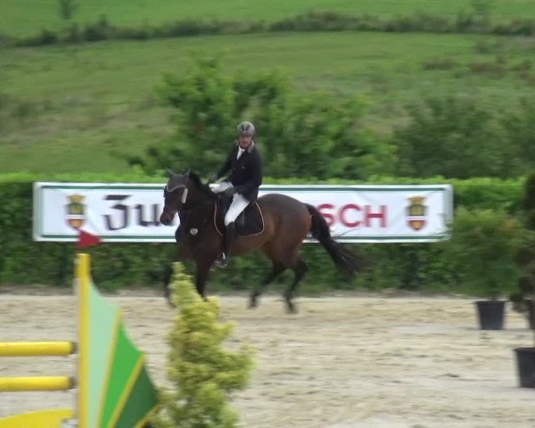 Reitturnier Lindlar-Süttenbach 2016