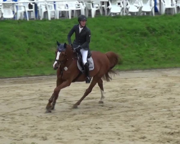 Reitturnier Viersen-Dülken 2016