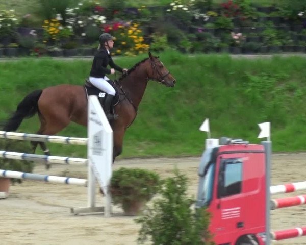 Reitturnier Viersen-Dülken 2016