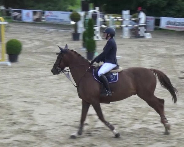 Reitturnier Kalenborn Hegehof 2016
