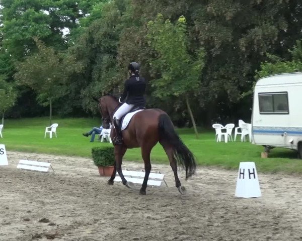 Reitturnier Viersen-Dülken 2016