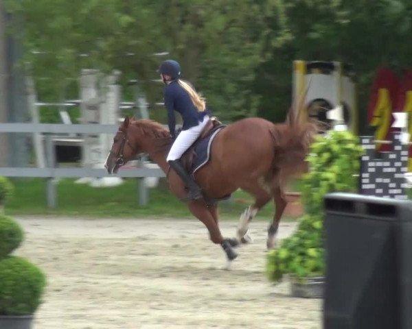 Reitturnier Kalenborn Hegehof 2016