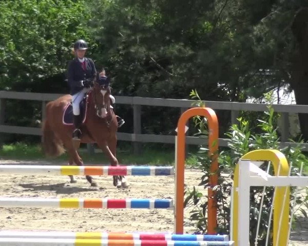 Reitturnier Kalenborn Hegehof 2016