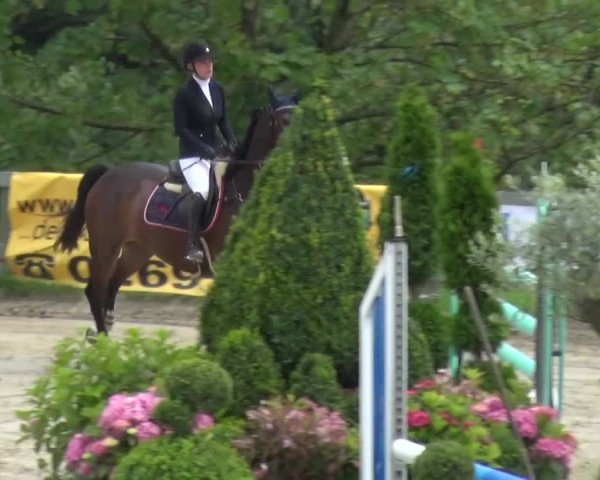 Reitturnier Kalenborn Hegehof 2016