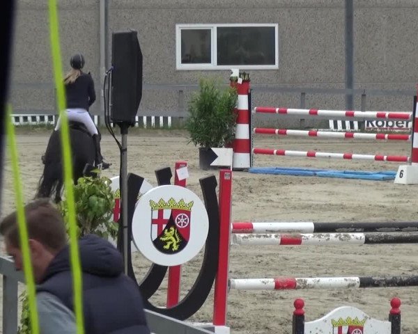 Reitturnier Kalenborn Hegehof 2016