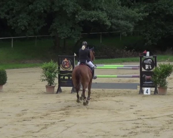 Reitturnier Viersen-Dülken 2016