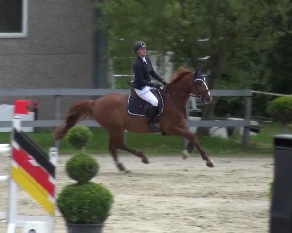 Reitturnier Kalenborn Hegehof 2016