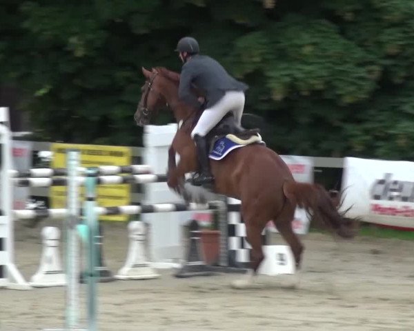 Reitturnier Kalenborn Hegehof 2016