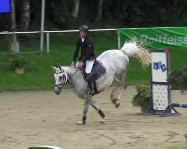 Reitturnier Viersen-Dülken 2016