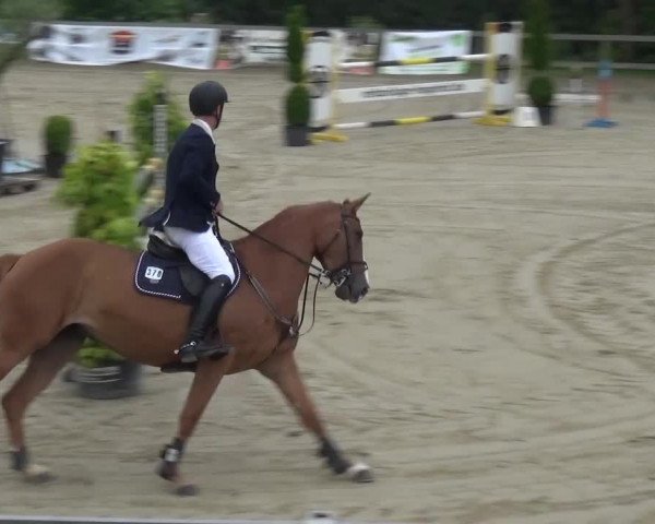 Reitturnier Kalenborn Hegehof 2016