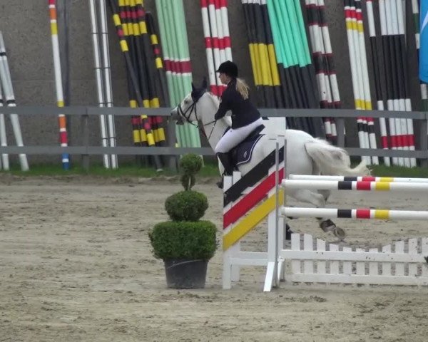 Reitturnier Kalenborn Hegehof 2016