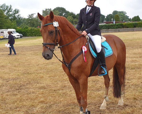stallion Frauenheld PL (Rhinelander, 2007, from Fuchsberger)