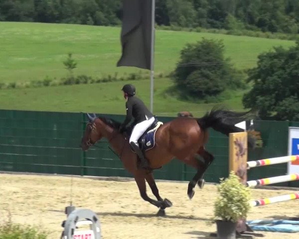 Reitturnier Lindlar-Süttenbach 2016