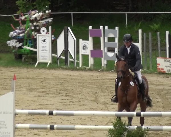 Reitturnier Viersen-Dülken 2016