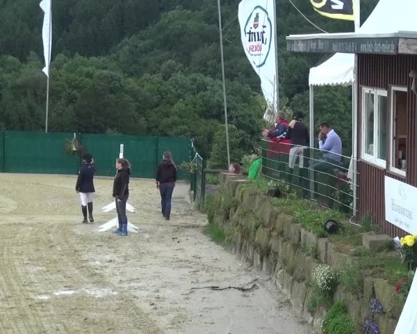 Reitturnier Lindlar-Süttenbach 2016