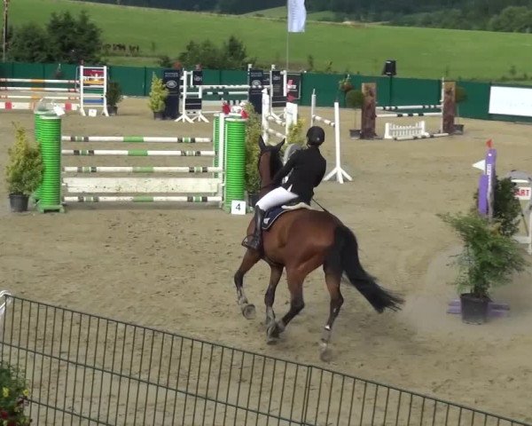 Reitturnier Lindlar-Süttenbach 2016