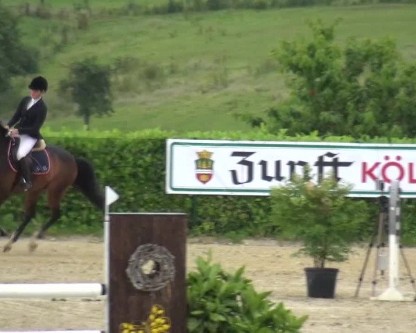 Reitturnier Lindlar-Süttenbach 2016