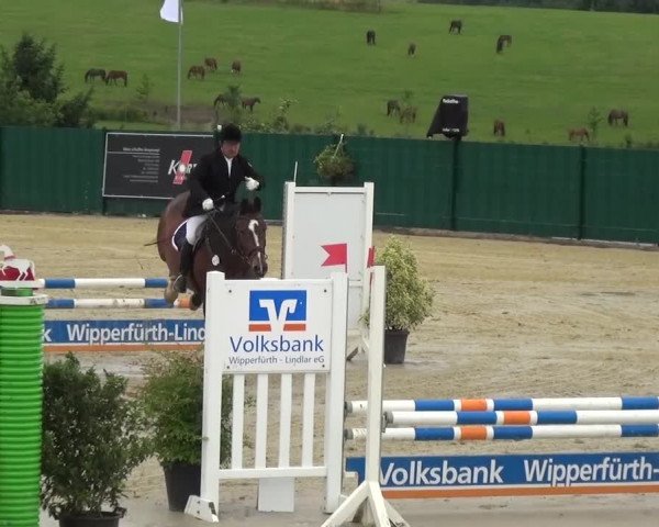 Reitturnier Lindlar-Süttenbach 2016