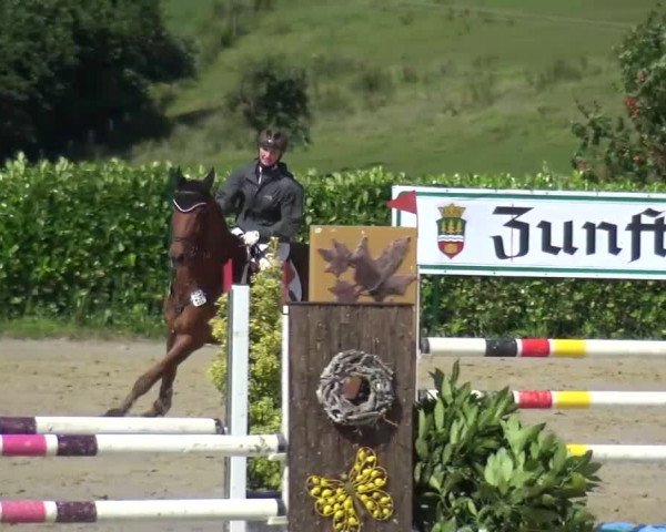 Reitturnier Lindlar-Süttenbach 2016