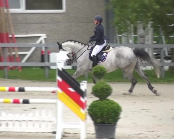 Reitturnier Kalenborn Hegehof 2016
