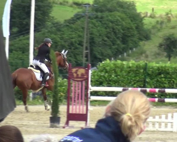 Reitturnier Lindlar-Süttenbach 2016