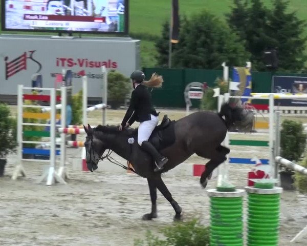 Reitturnier Lindlar-Süttenbach 2016