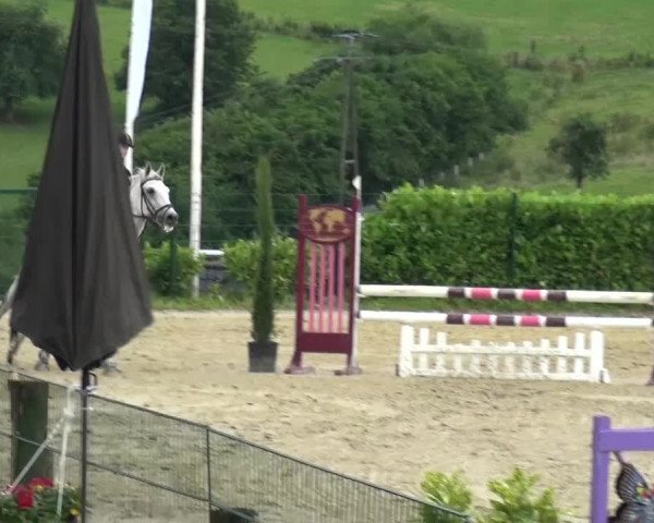 Reitturnier Lindlar-Süttenbach 2016